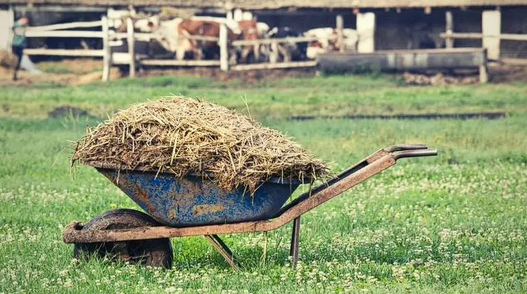 Фото из открытых источников