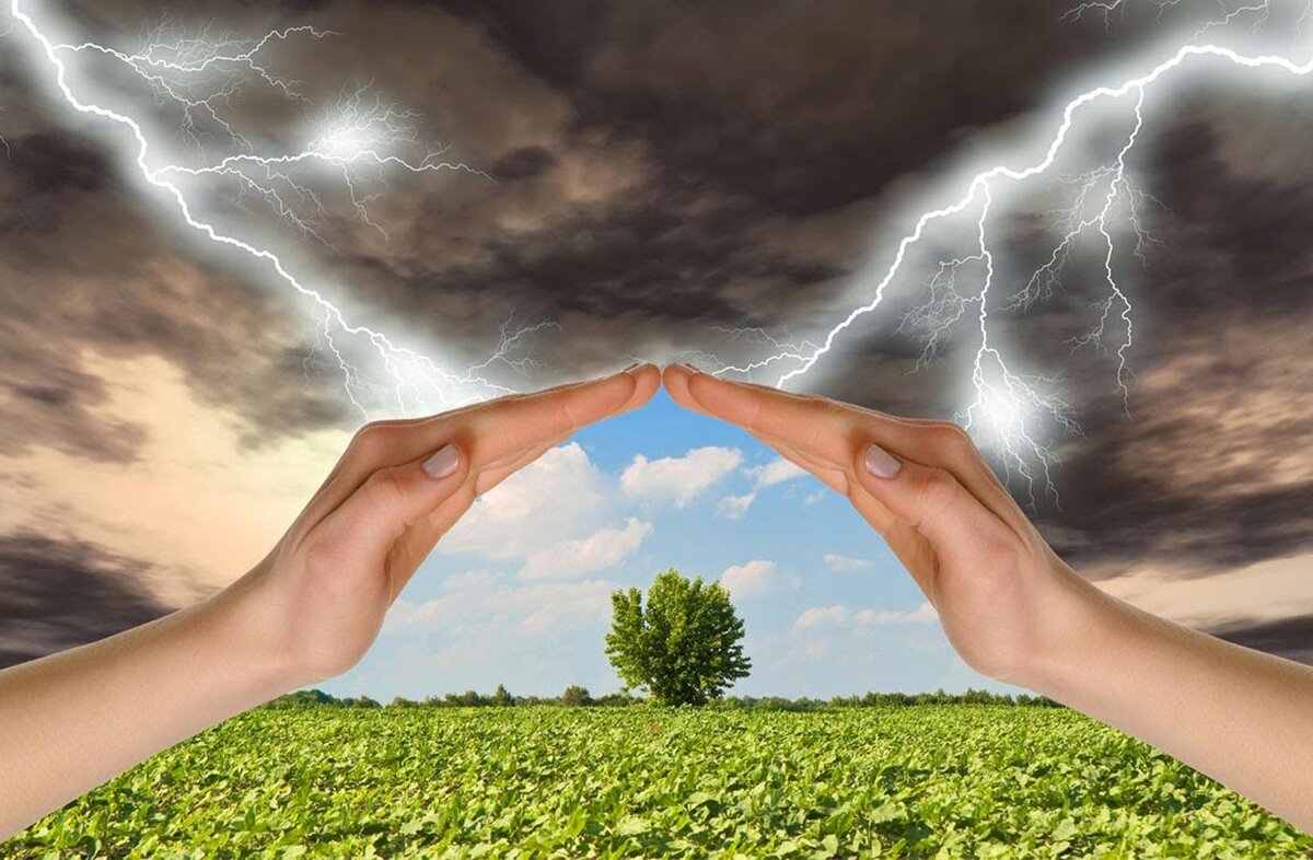 яндекс.картинки