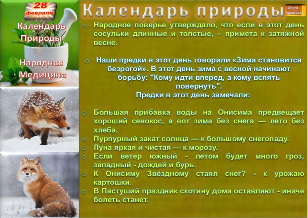 28 февраля приметы и поверья. 29 апреля приметы. Приметы на 28 апреля. Приметы на 28 февраля 2024 года народные. Народные приметы 31 мая.