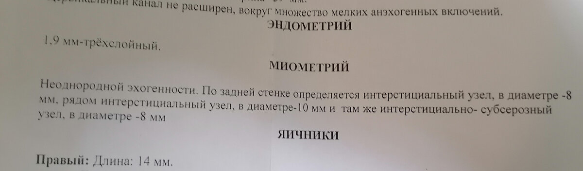 Личное фото автора 