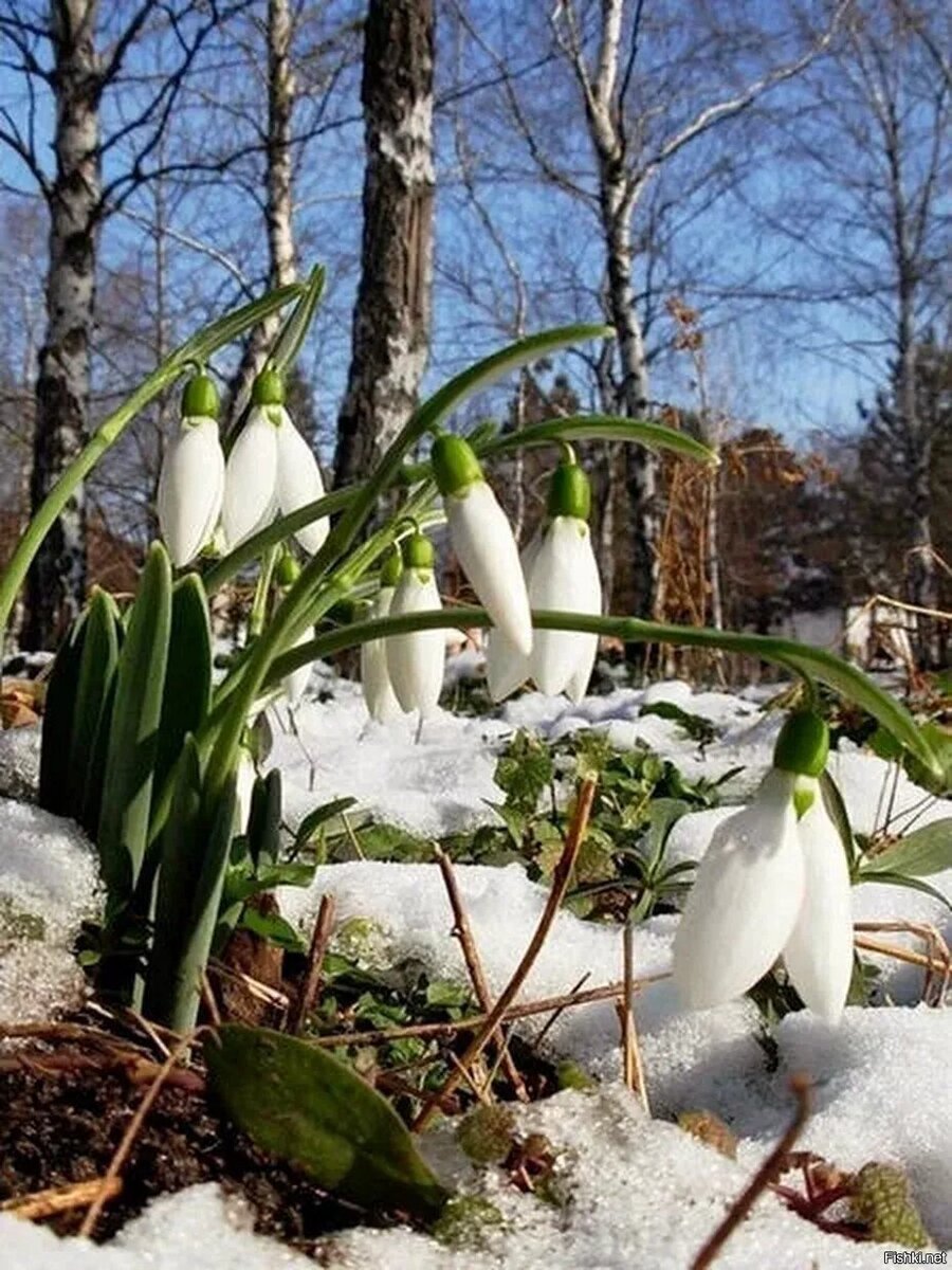Фото взято из открытых источников Яндекс поиска.