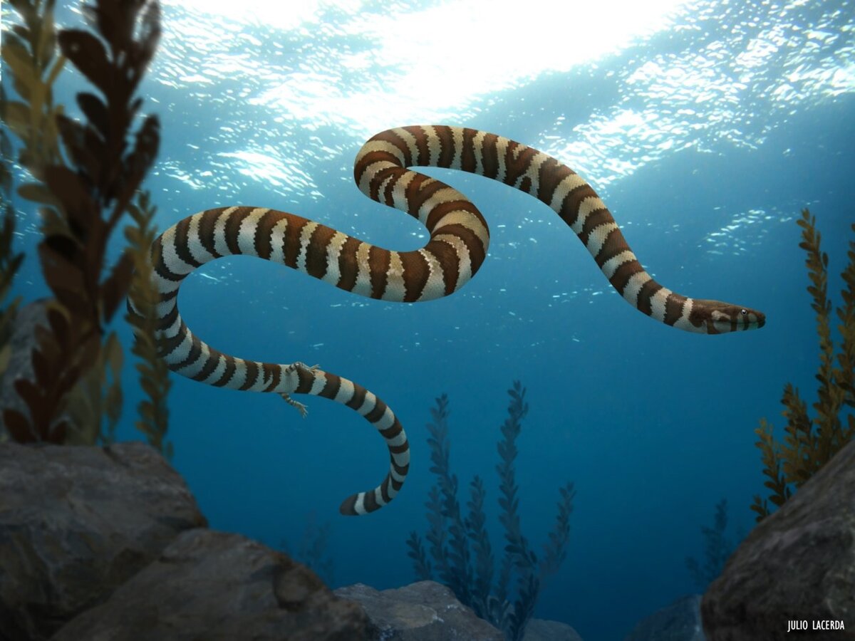 Так, в качалке руки пропускаем, ноги треним по лайту, всё остальное по хардкору.