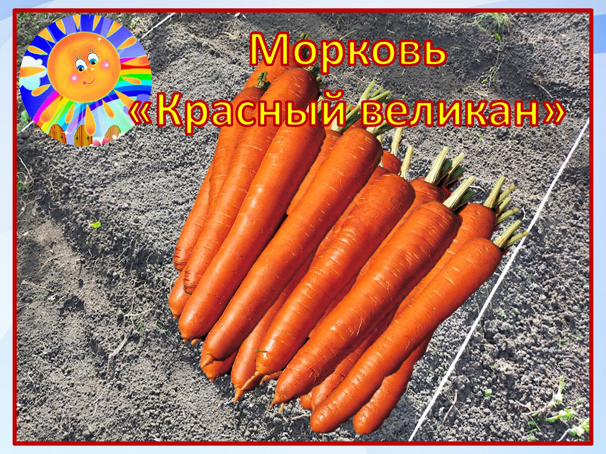 Личный архив