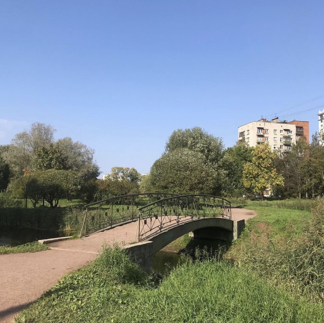 в парка «Александрино» на пр. Ветеранов 