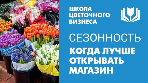 Когда лучше открывать магазин | Есть ли сезонность