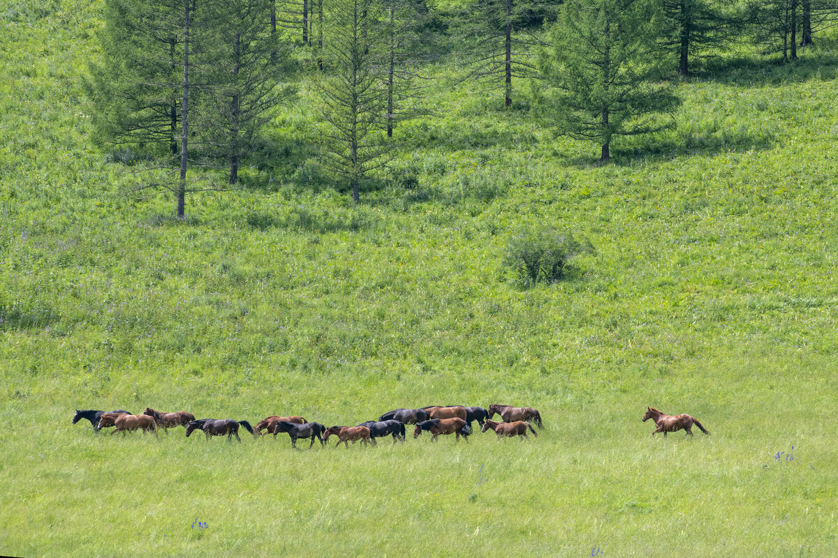 Просторы наши огромные, как и сама русская душа...