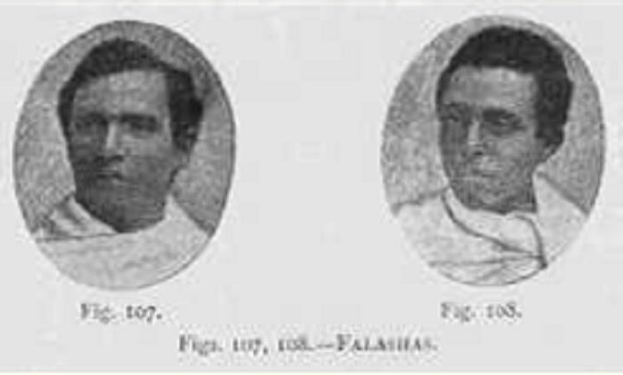 Фалаши (здесь и далее изображения из открытых источников)