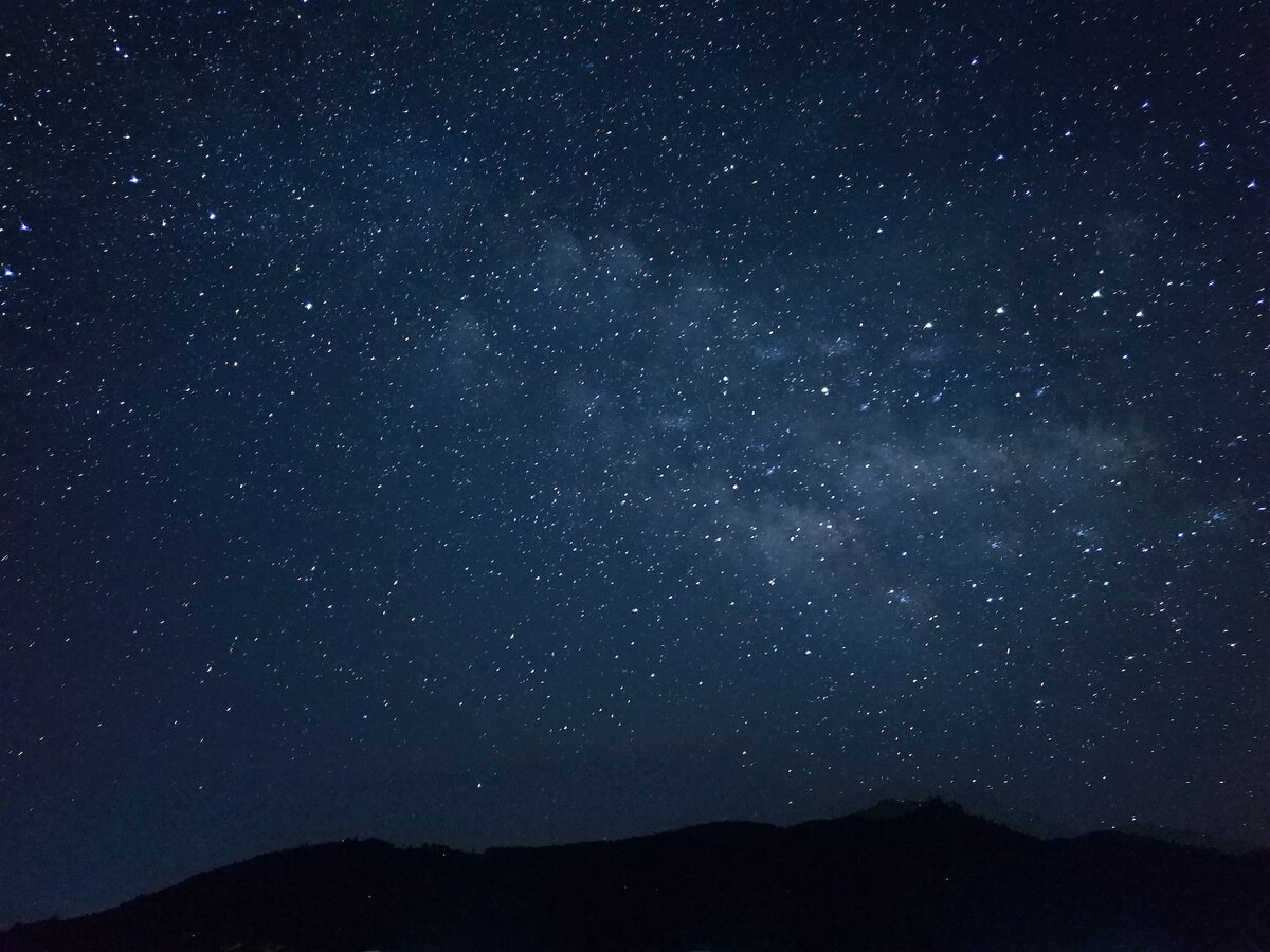 Фото: Unsplash 