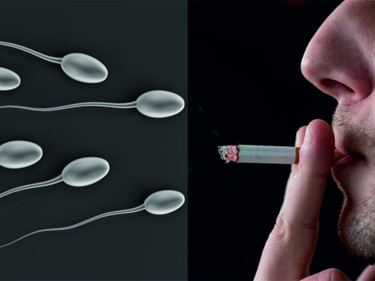 Исследование: курение негативно влияет на качество спермы - рукописныйтекст.рф | Новости
