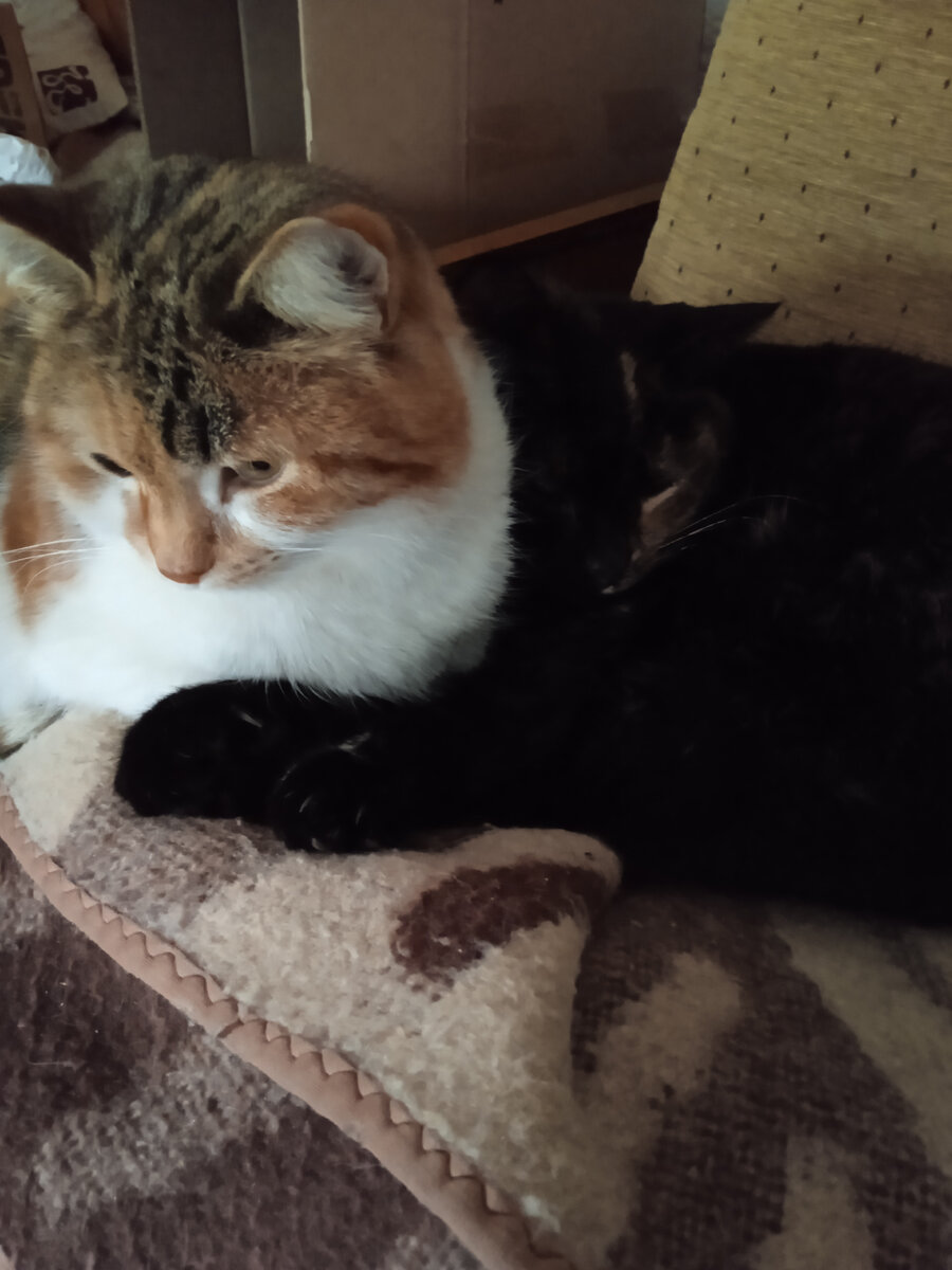 Поели, теперь можно поспать))