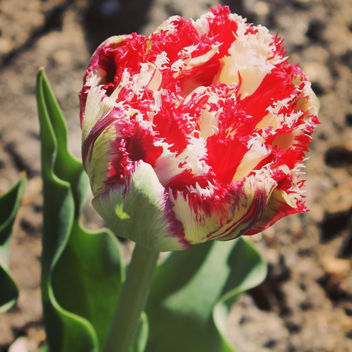 Вот так праздник | Мотивация на 5+ | Дзен