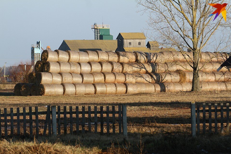     В Беларуси хотят создать специальный фонд, который будет гарантировать трехмесячный заработок сотрудникам предприятий-банкротов. Павел МАРТИНЧИК