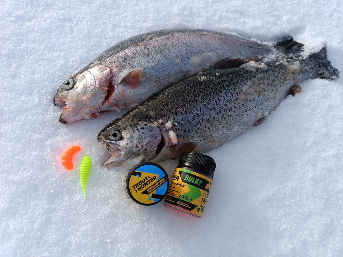 Рыбалка на форель на платнике зимой. Зимняя рыбалка на форель на платнике зимой. Рыбалка на форель зимой. Зимняя снасть на кумжу. Блесна на форель зимой на платнике.