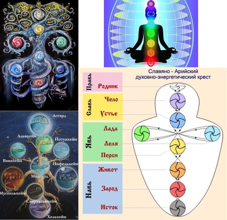 12 чакр человека в картинках