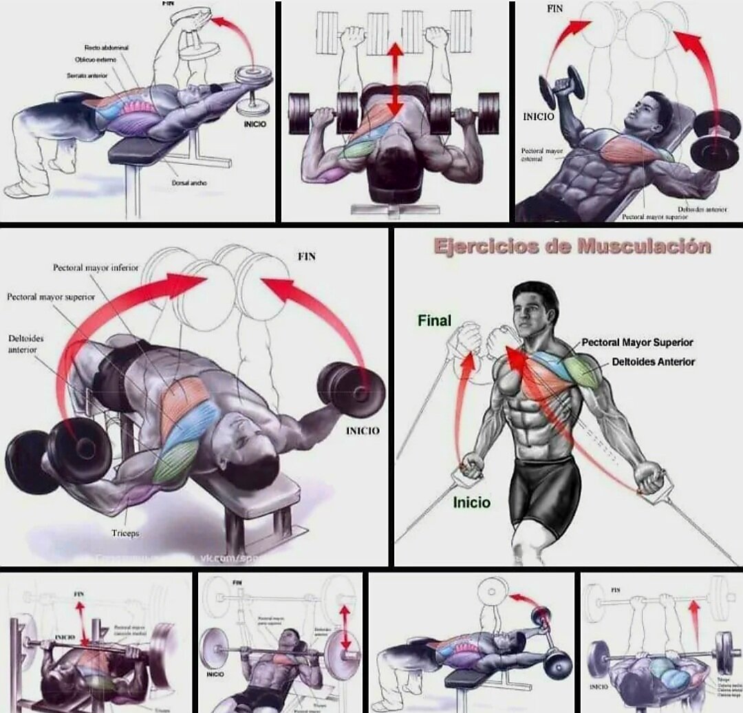 Базовые упражнения в тренажерном зале. Упражнения для верхней части грудных мышц для мужчин. Упражнения для прокачки грудных мышц для мужчин. План тренировки для прокачки грудных мышц. Лучшие упражнения на грудные мышцы в тренажерном зале для мужчин.