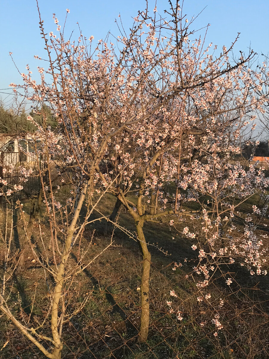 Солнце, зелень, цветущие деревья - в такое время сидеть дома - это просто кощунство.