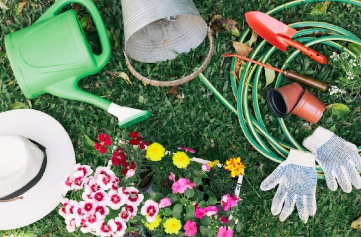    Лекцию о парках дореволюционного периода проведут в Томске