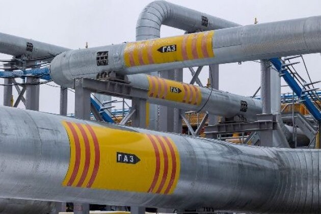 Газель на сутки