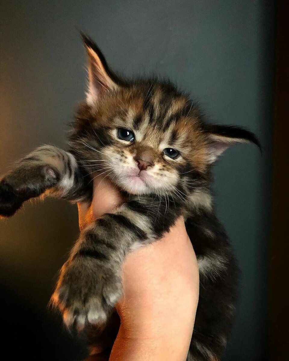 Фото с www.instagram.com для примера