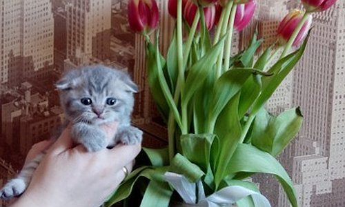 ���������� � ������ ))) � �������� ���� ))) ��������, �������! ���� �� ���������.