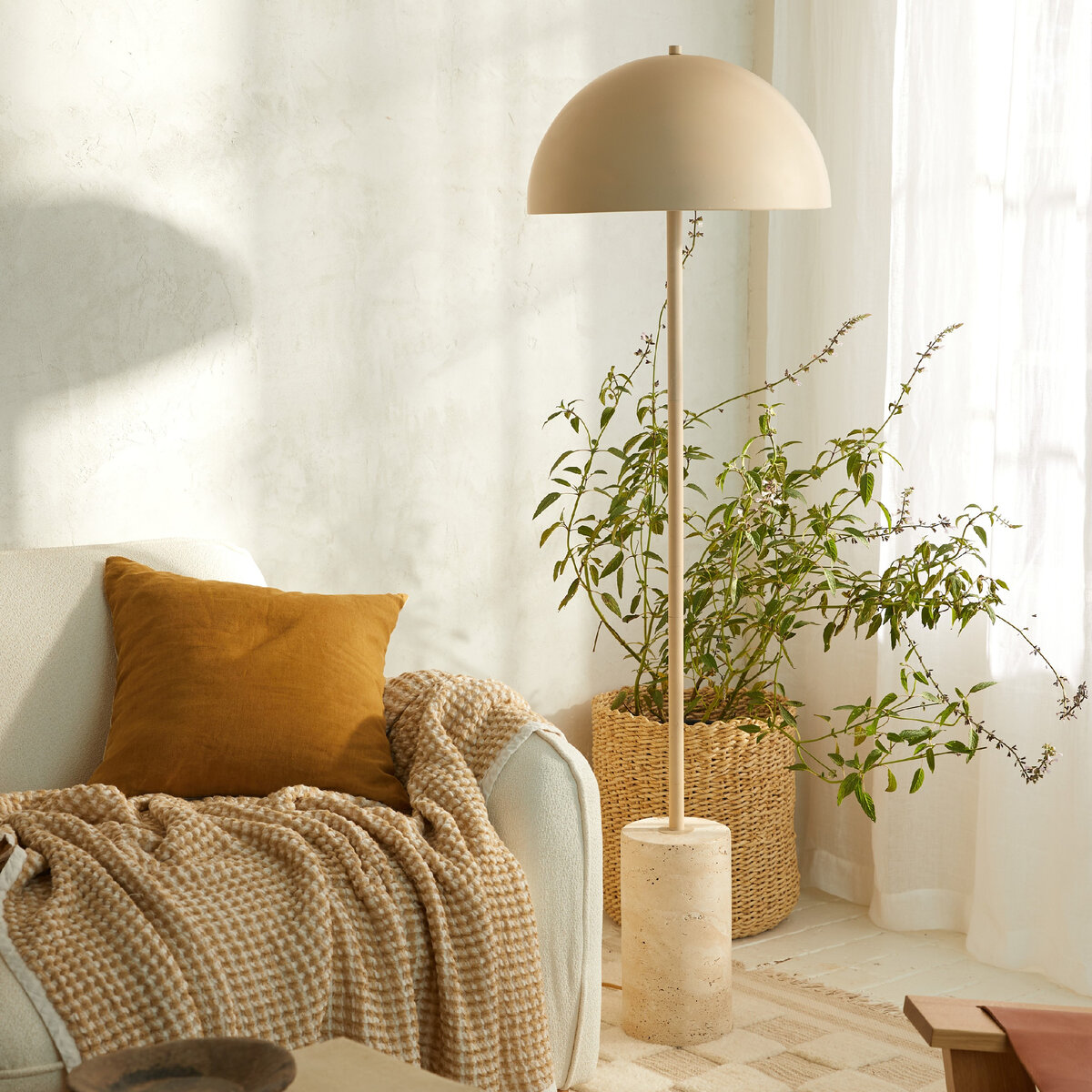parachutehome.com