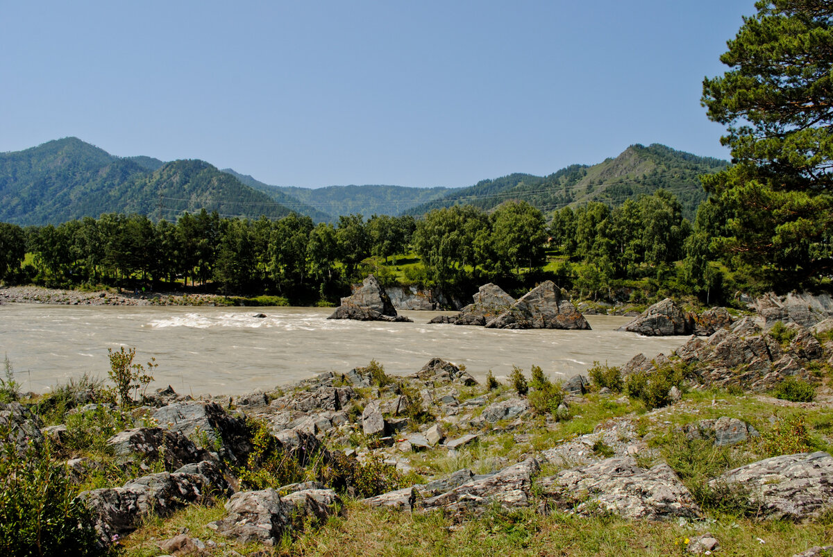 Зубы дракона алтай фото