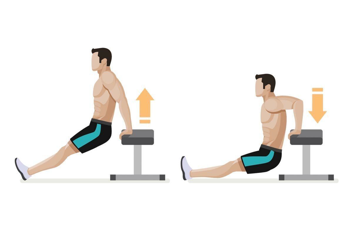 Обратные отжимания от лавки