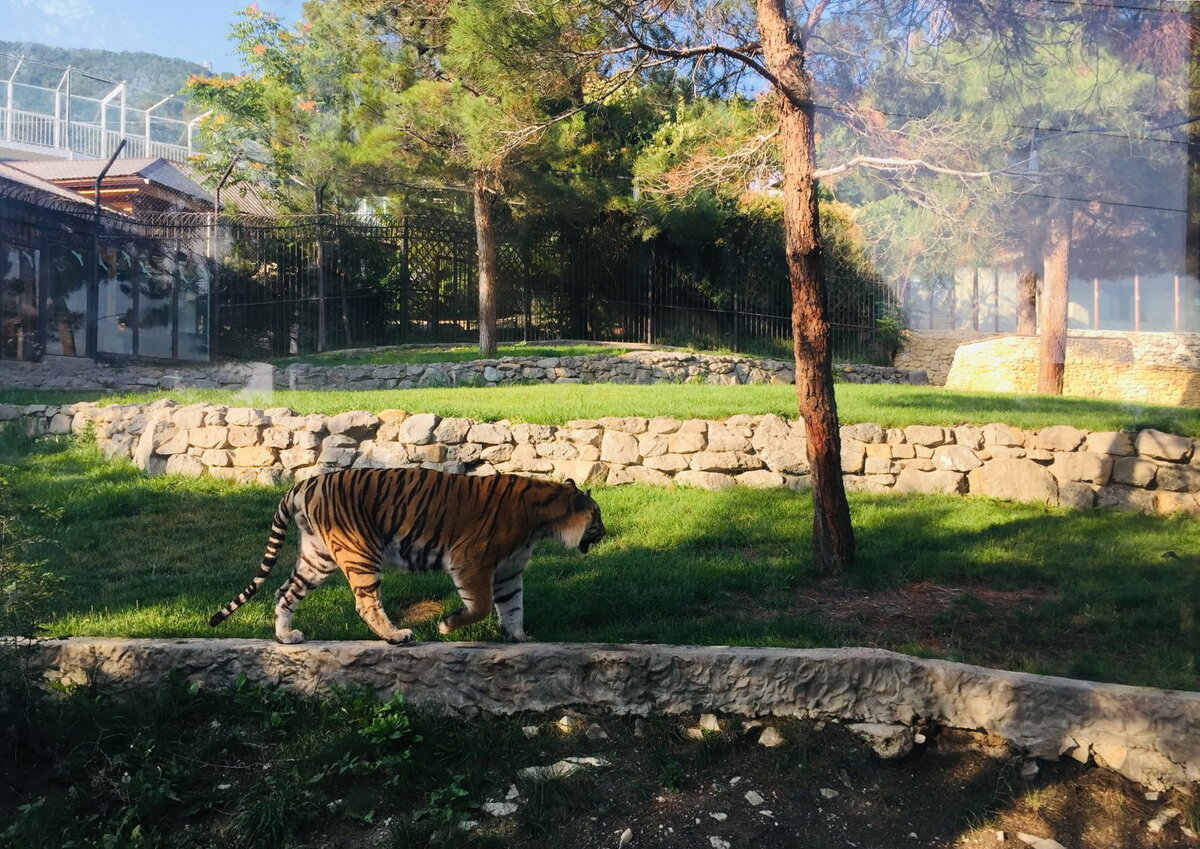 дино парк в геленджике