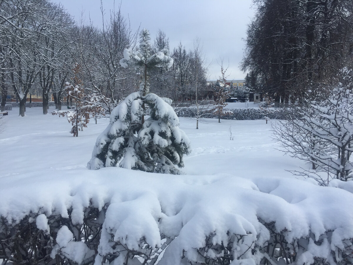 Прикольные картинки про зиму (37 фото)