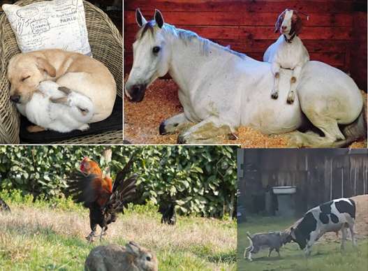 Фото из открытых источников