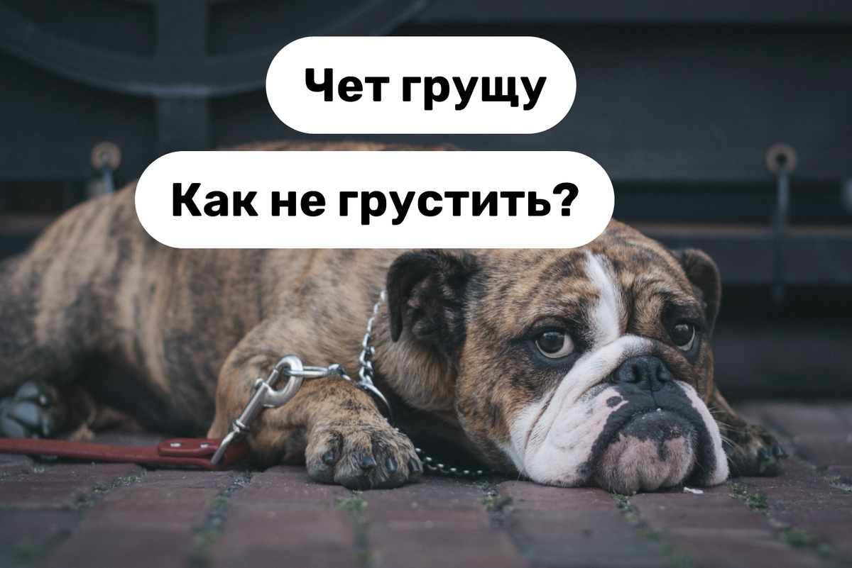 Автор фото Justin Veenema