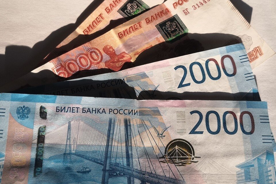     С начала года липанам с детьми выплатили по единому пособию более 240 миллионов рублей Алина ПАЛАГИНА