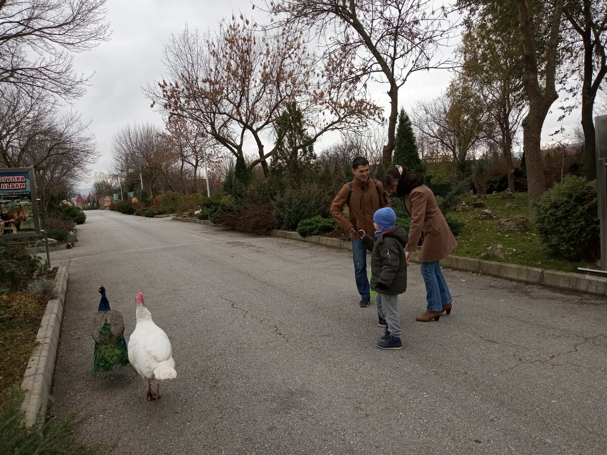 типичный Крым в ноябре