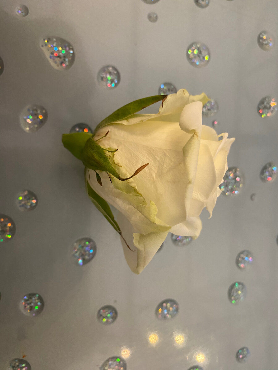 Покровский монастырь - зачем люди идут к Матроне Московской | Местами ...