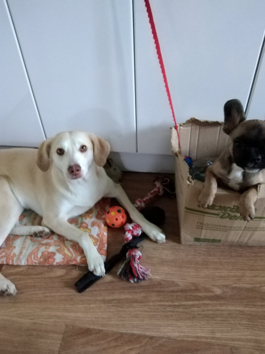 Мам! Мы подготовились! Играть-то будем?