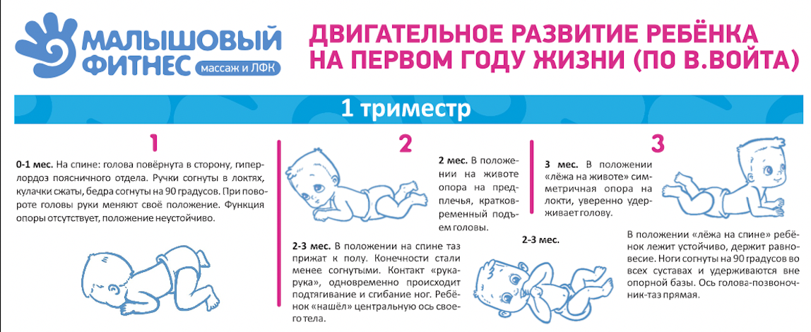 Фрагмент таблицы двигательного развития