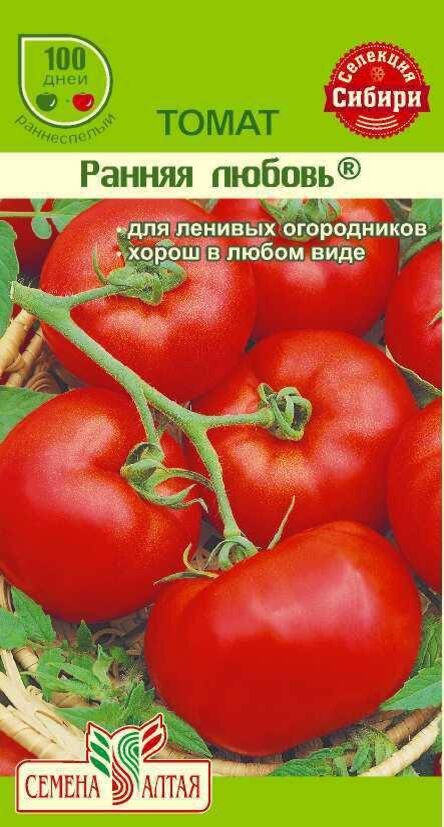 Помидоры любимые описание сорта. Томат ранняя любовь семена Алтая. Томаты Агрофирмы семена Алтая. Ранняя любовь томат описание. Сорт помидор ранняя любовь.