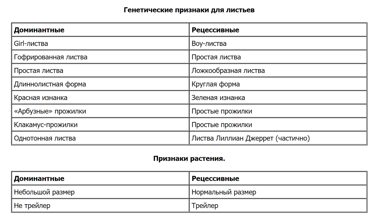 Доминантные и рецессивные законы при селекции растений. Законы Менделя. |  Сад на юге у Марии Соловьевой | Дзен