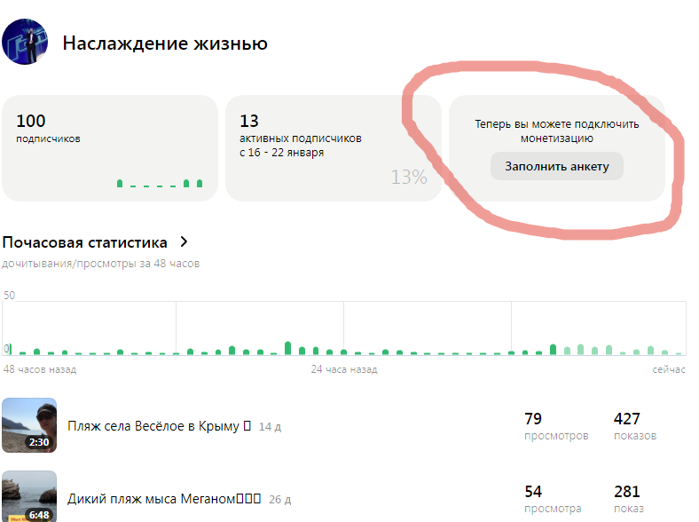 Скриншот личного кабинета в Дзен