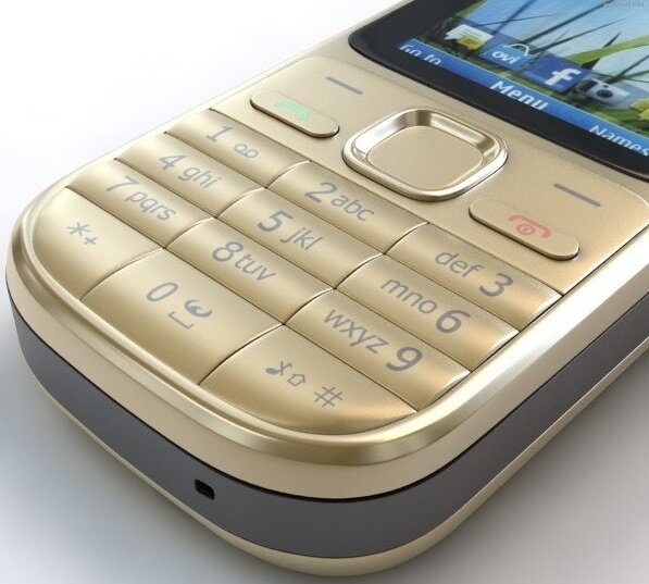 Nokia C2-01 