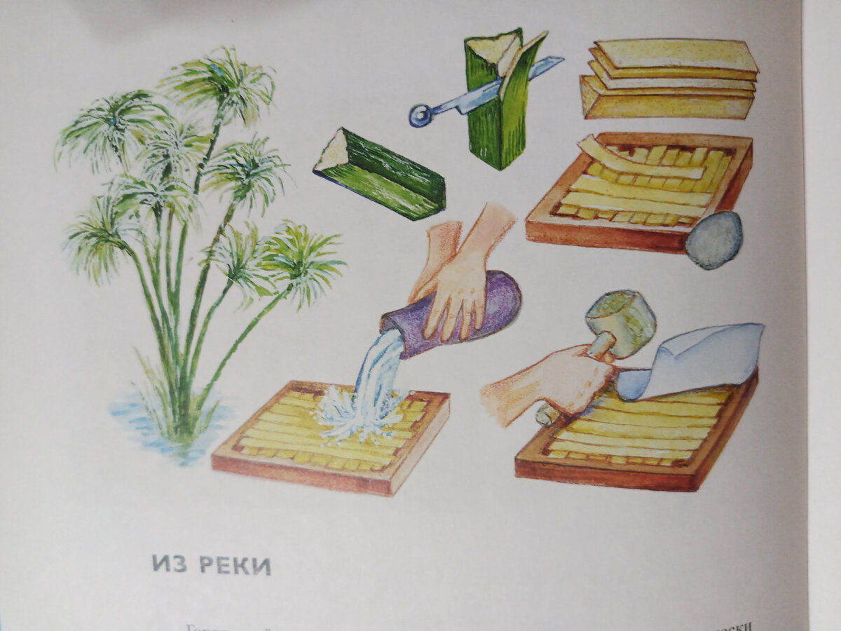 Изготовление папируса.