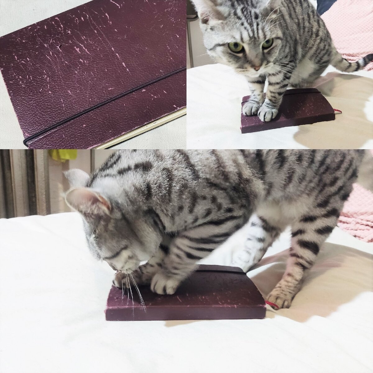 Я очень креативная!