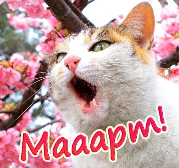 Мааарт!