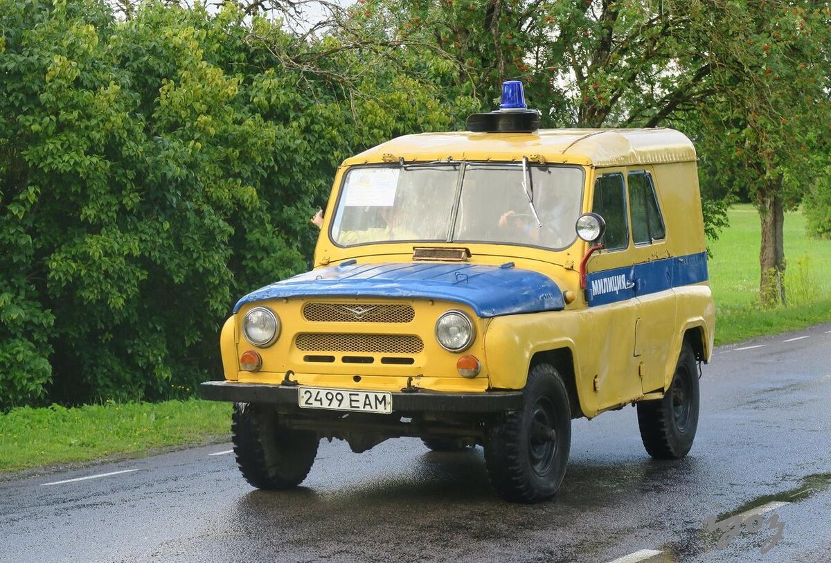 Фото из свободной сети Интернет