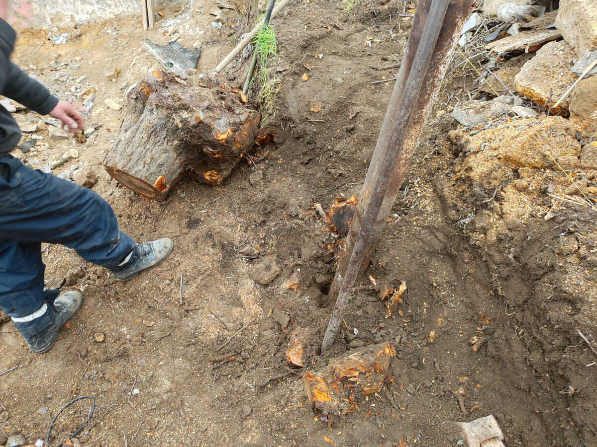 Заливаем фундамент под сарай и выкорчевываем дерево | жизнь и Крым | Дзен
