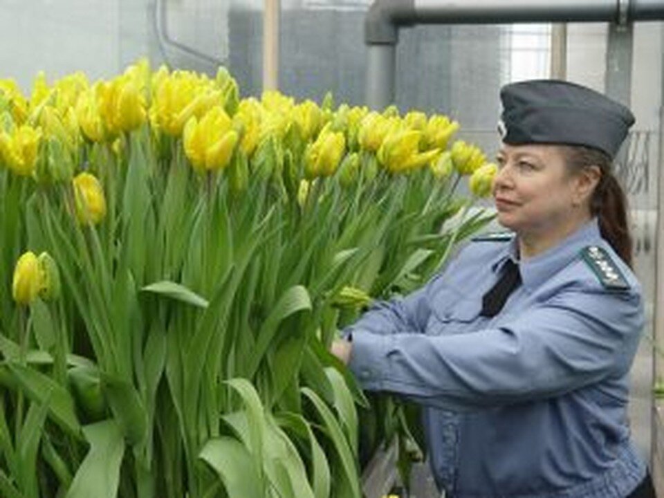    Фото: Россельхознадзор по Новосибирской и Томской областям.