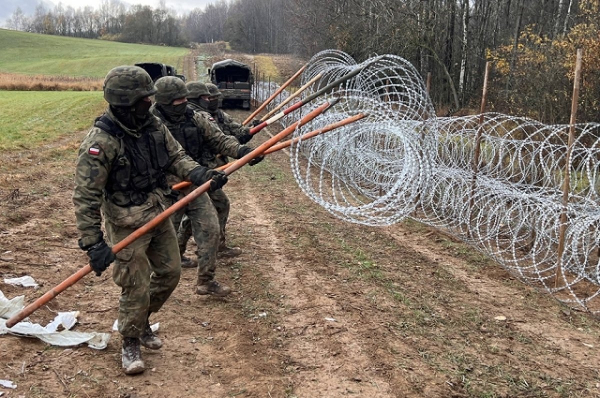    Финляндия начала строить забор на границе с Ленобластью