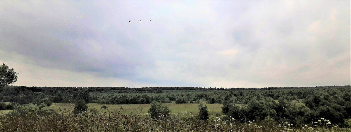 Вот люди выходят на крыльцо, а у них такой вид открывается...