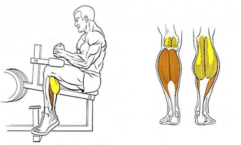 Тренировка икроножных мышц. Тренажер для икроножных мышц подъемы на носки. Икроножные подъем на носки стоя. Икроножные мышцы подъем на носки стоя. Подъём икроножных мышц стоя.