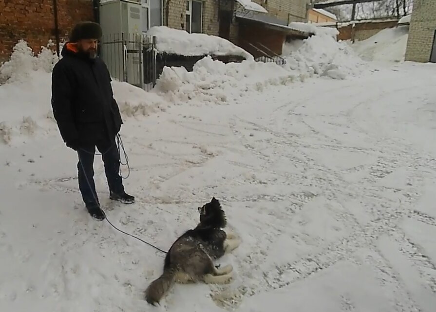 Саша с хасей))